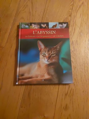 Livre sur les chats L'Abyssin