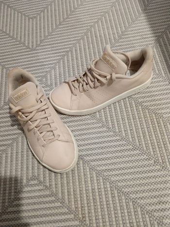 Adidas rose 39 1/3