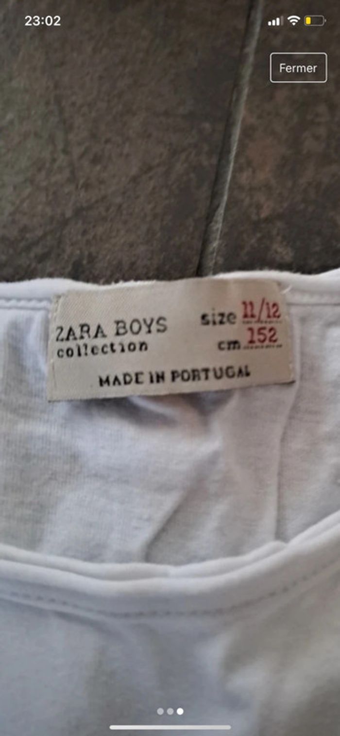 Tee shirt chien - photo numéro 2