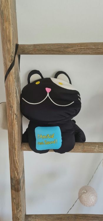 Peluche l'amitié c'est sacré