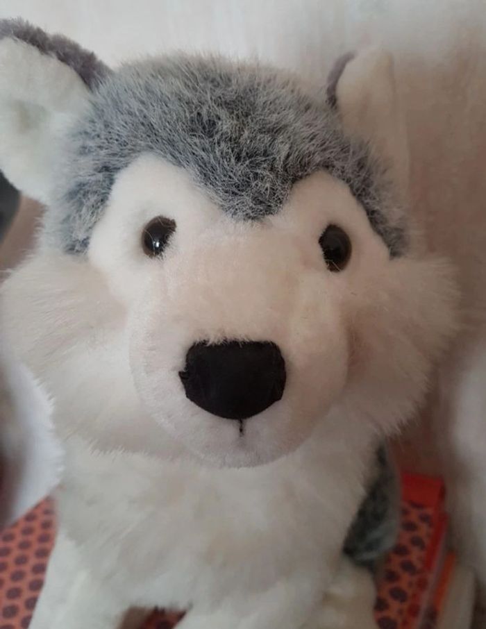 Peluche chien husky - photo numéro 3