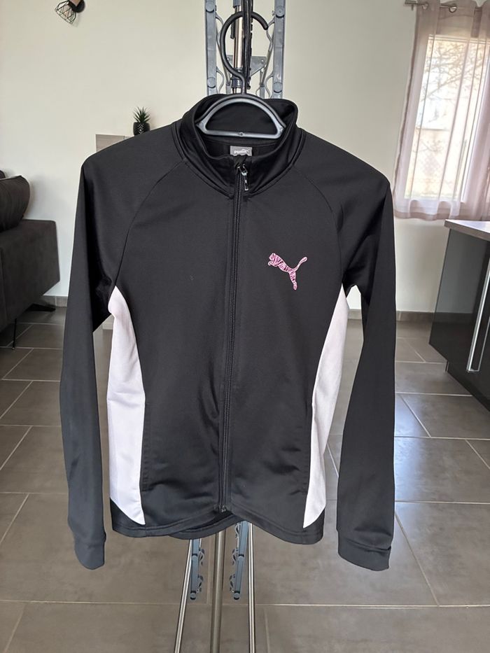 Ensemble puma - photo numéro 3