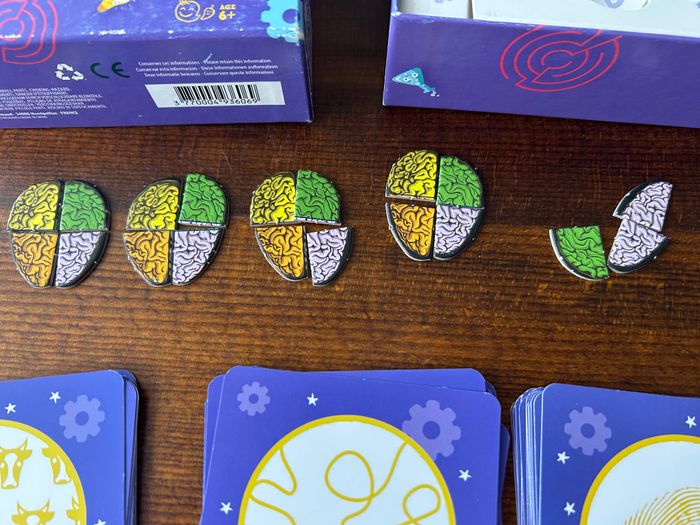 cortex - photo numéro 3