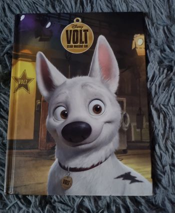 Livre Disney Volt Star Malgré lui