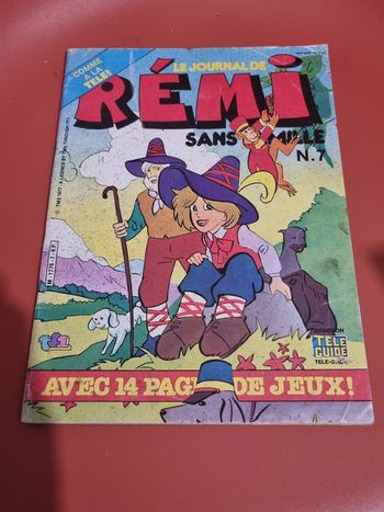 le journal de rémy sans famille n°7