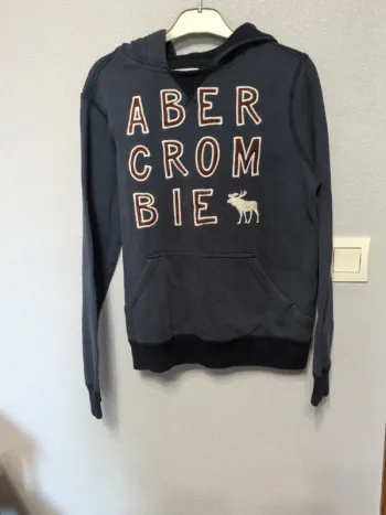 Sweat capuche garçon 11/12 ans
