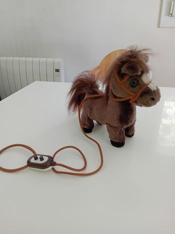 Poney  qui marche et doit du bruit