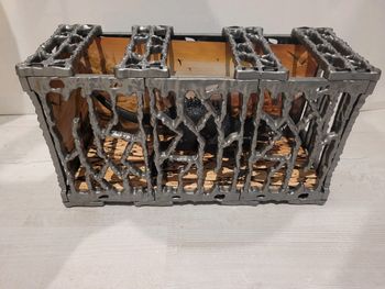 Dinosaure + cage