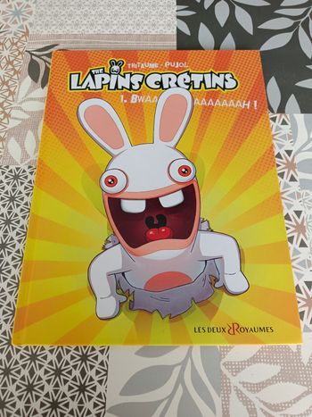 Lot de 3 livres de lapins crétins 