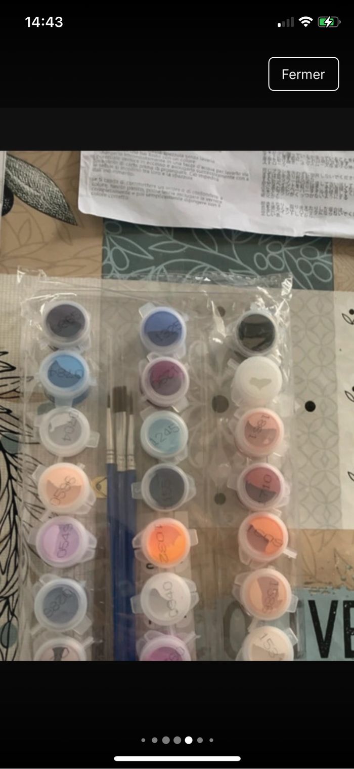 Kit complet de peinture par numéro - Neuf - photo numéro 4