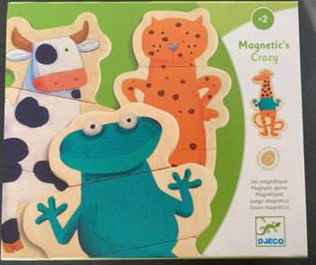 Magnetic’s Crazy