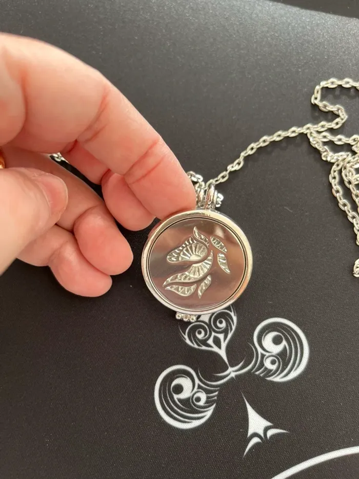 # collier cheval# - photo numéro 4