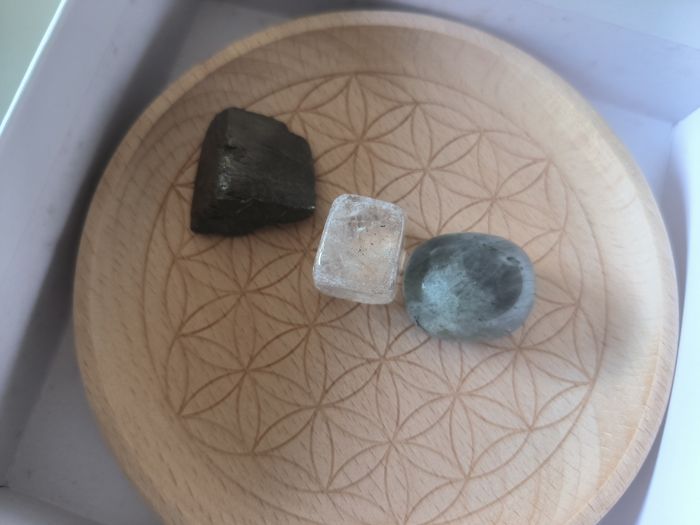 Coffret astro lithothérapie poisson - photo numéro 3