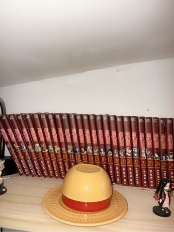 Fairy tail complet Lot Très bon état