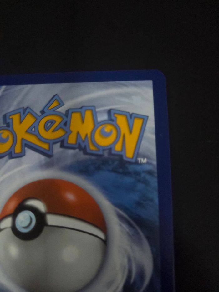 Florizarre ex - photo numéro 8