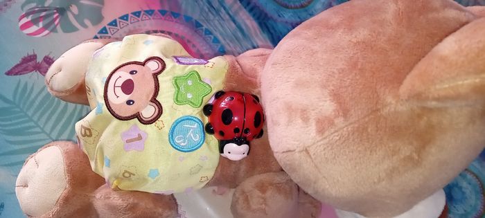 Ours vteck - photo numéro 2