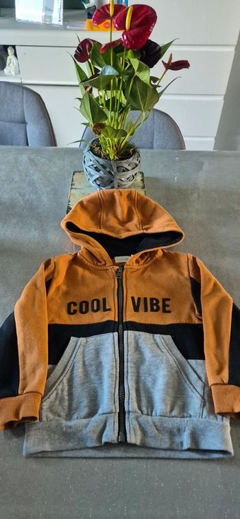 Veste orchestra 4 ans