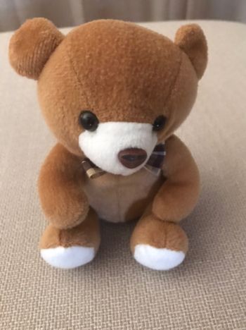 Ours en peluche