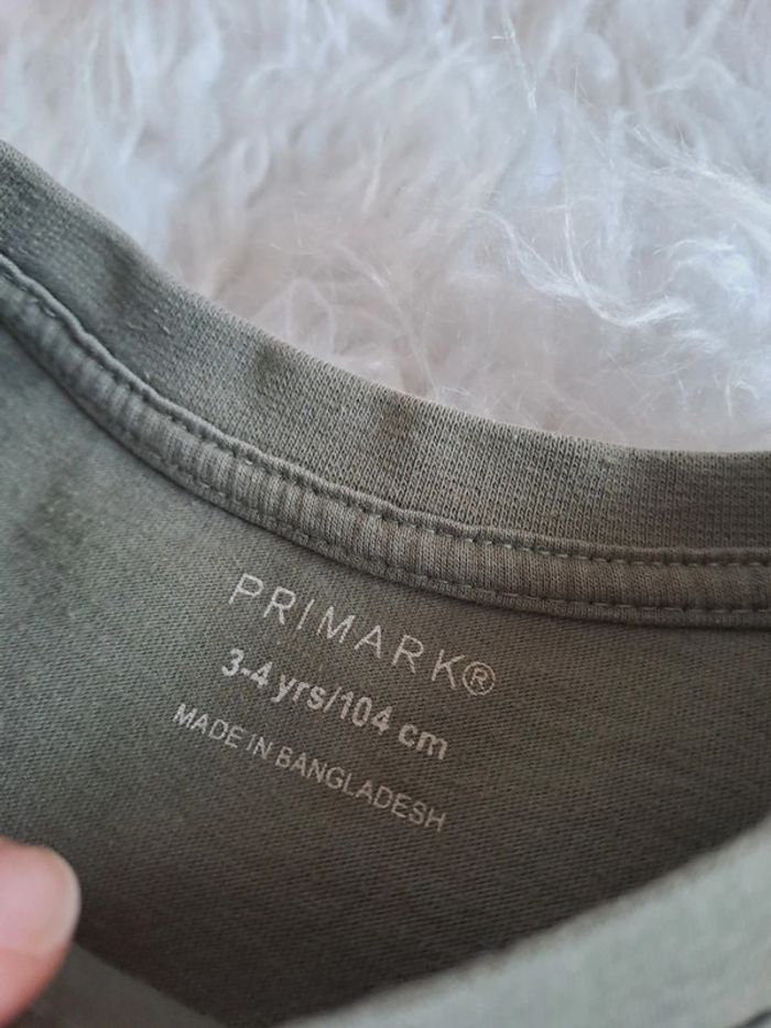 Tee-shirt MC primark dinosaures 3/4ans - photo numéro 4