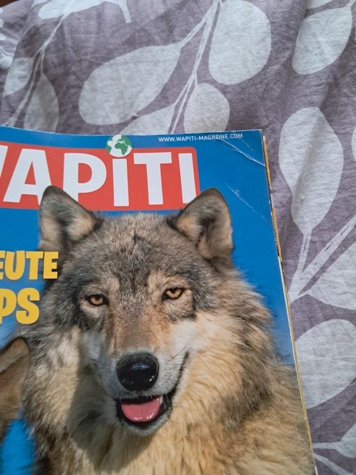 Lot 12 magazines wapiti - photo numéro 7