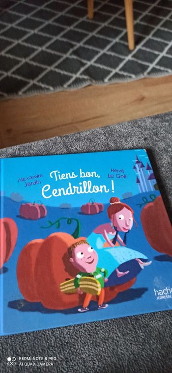 Livre tiens bon cendrillon  hachette jeunesse