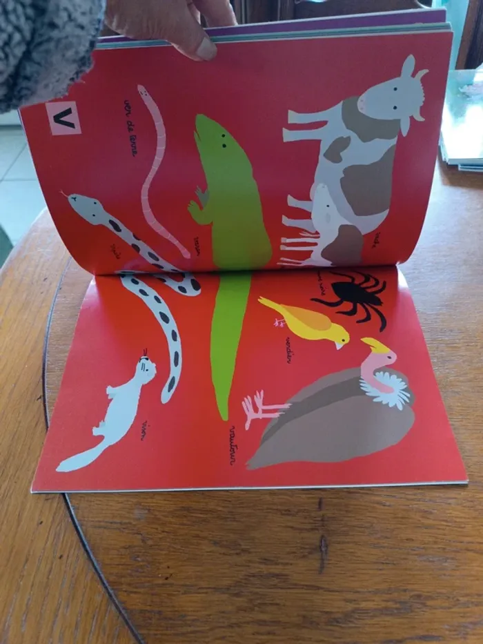 Animaux abécédaire - photo numéro 7