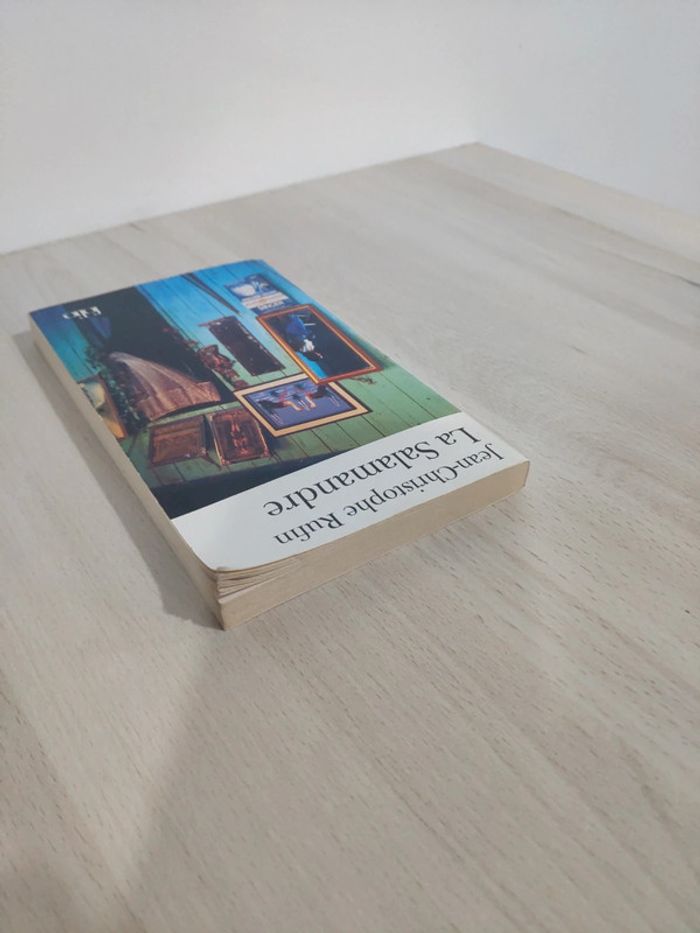 Livre poche la salamandre Rufin - photo numéro 4