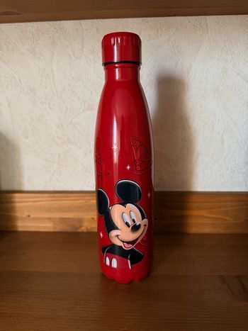  Bouteille isotherme Mickey Disneyland Paris