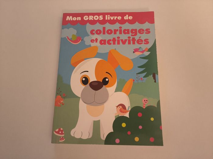 Gros livre de coloriages et activités