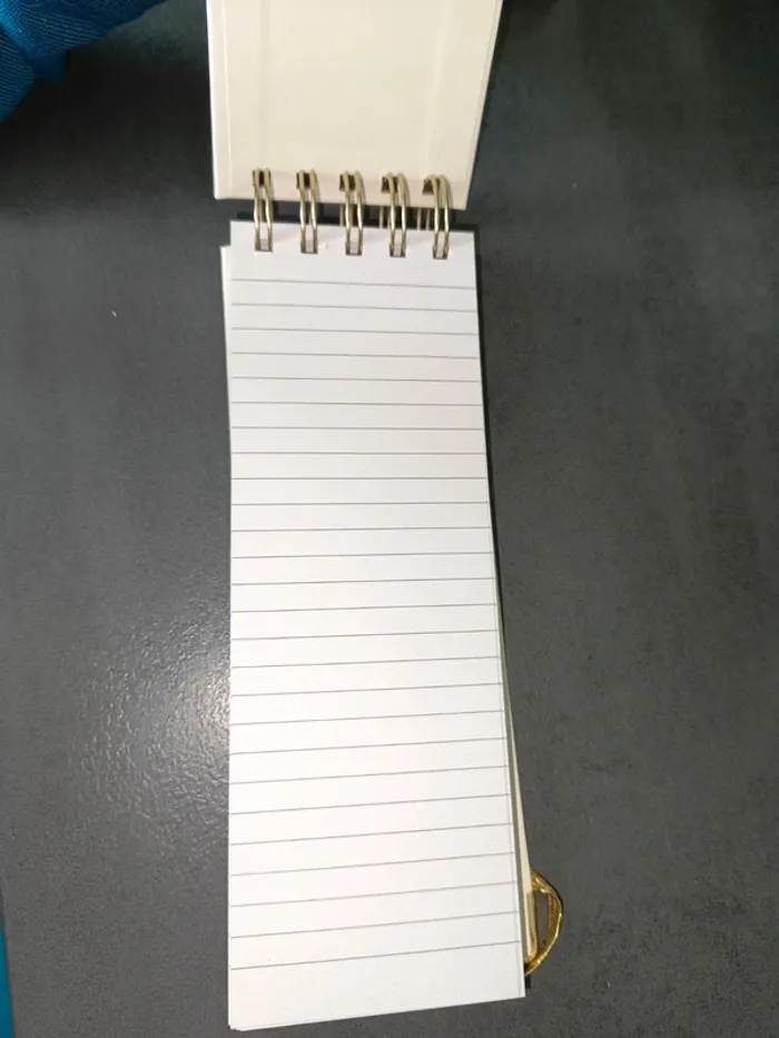 Carnet neuf - photo numéro 4