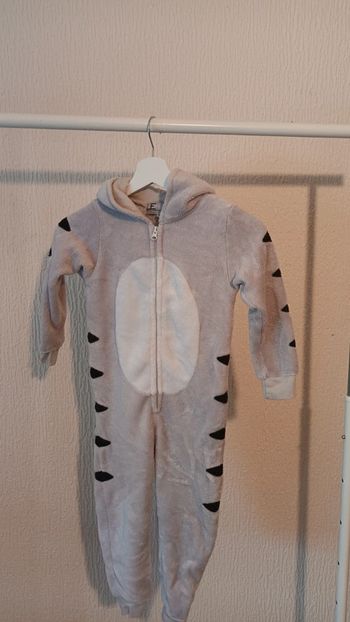 Combinaison chat pour garçon 4 ans