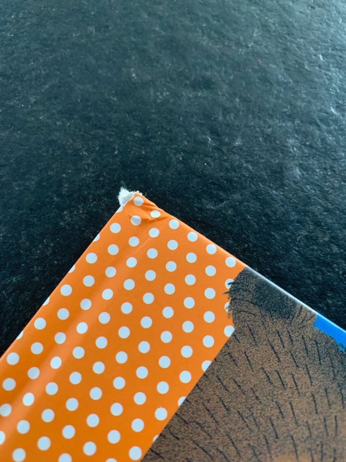 Livre « boucles d’or » - photo numéro 4