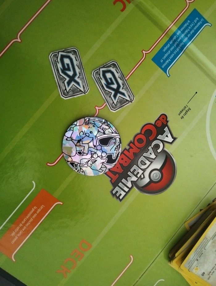 Pokémon académie de combat - photo numéro 6