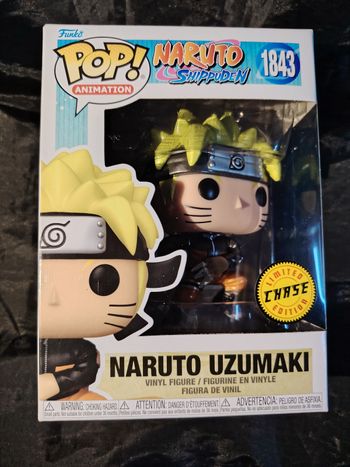 Pop Naruto Chase