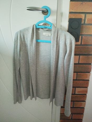 Gilet gris sans bouton