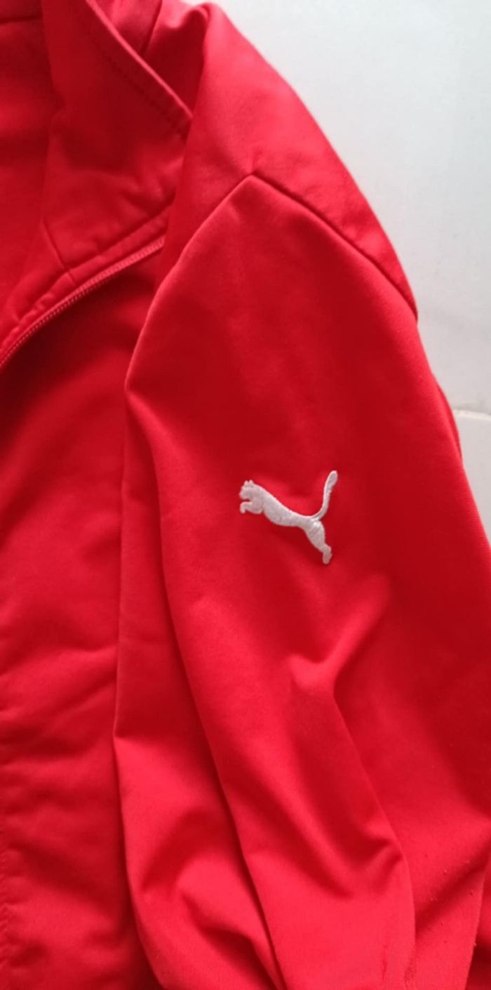 Haut survêtement puma xxl - photo numéro 3