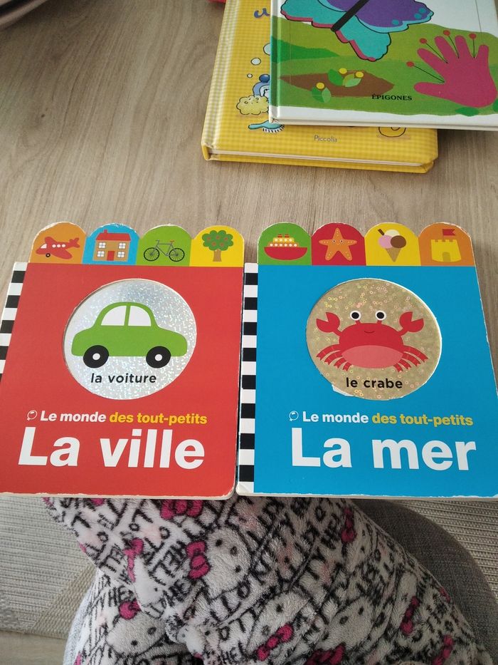 Lot de livre le monde des tout petits