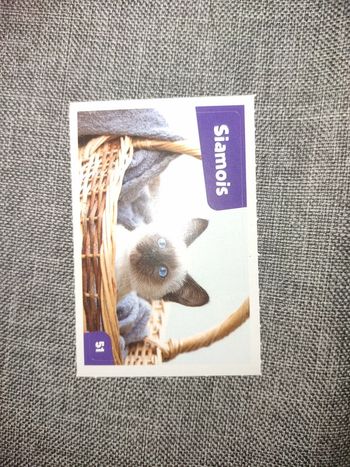 Autocollant nos amies les bêtes