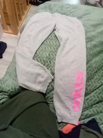 Jogging grise adidas