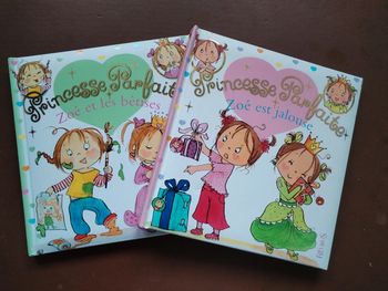 Lot Princesse parfaite