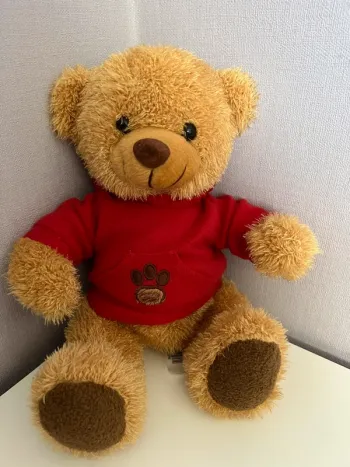 Ourson