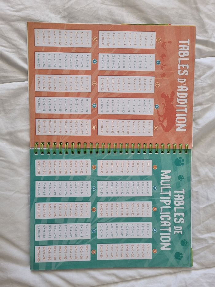 Cahier de texte gigantosorus - photo numéro 4