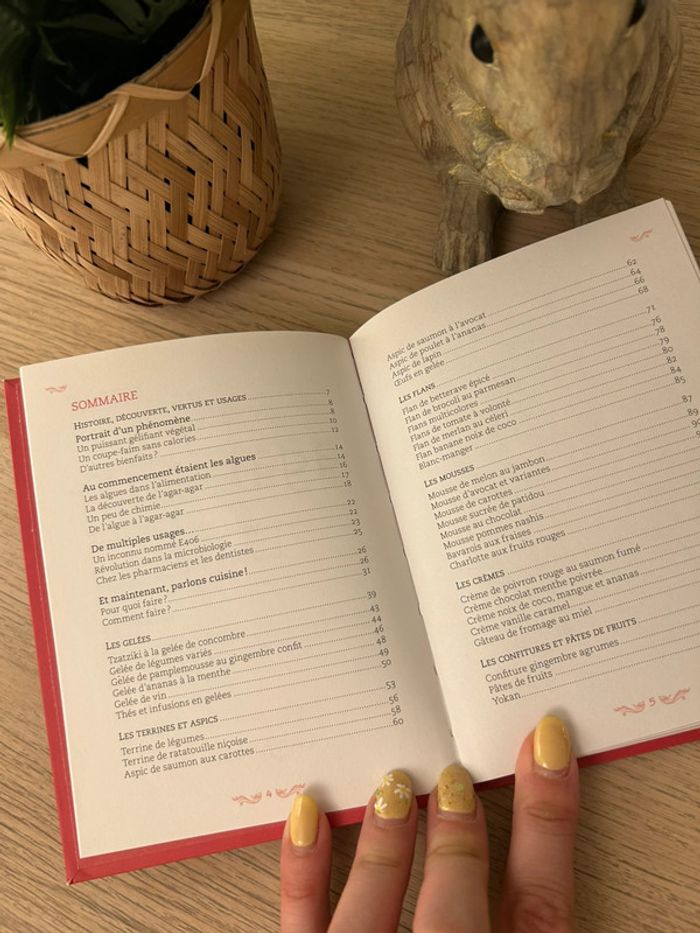 Livre Les secrets de l’agar-Agar - photo numéro 4