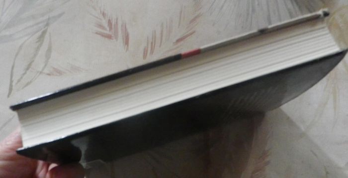 Un rayon de lumière. L'histoire de Nick Traina, mon fils par Danielle Steel Ed. France Loisirs - photo numéro 4