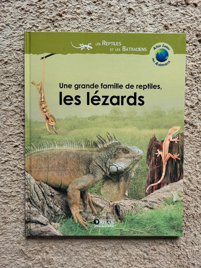 Livre documentaire enfant Une grande famille de reptiles, les lézards Atlas Junior des Animaux