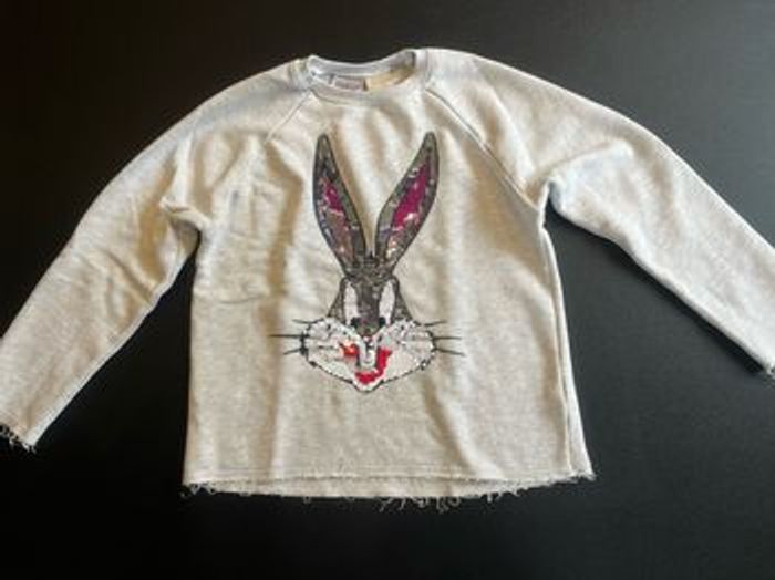 Lot pull , gilet , pancho 10 ans - photo numéro 2