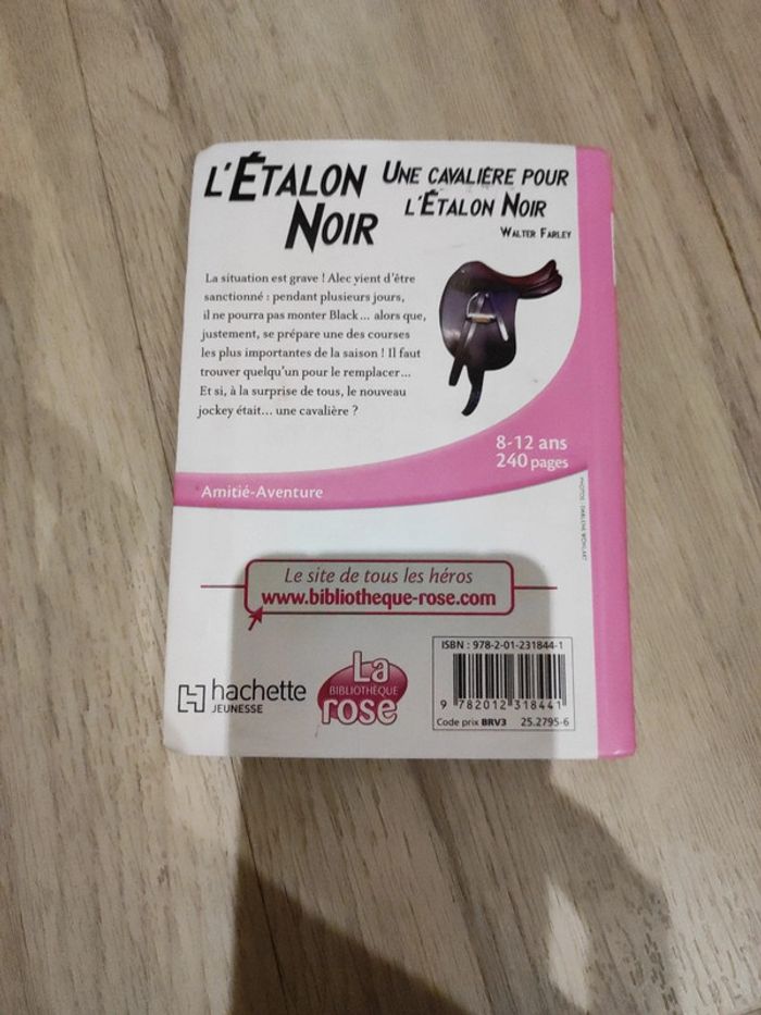 La bibliothèque rose l'étalon noir - photo numéro 2