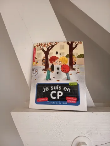 Livre Dispute à la récré