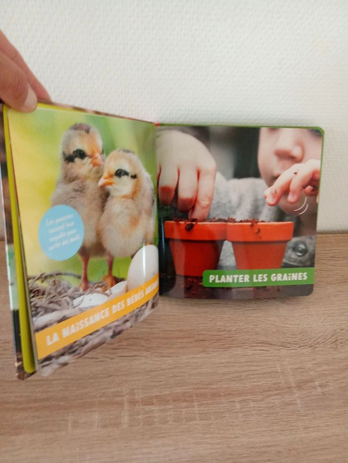 Livre neuf pour bébé. Doc photos. Les saisons - photo numéro 6