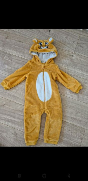 Combi  23 m simba